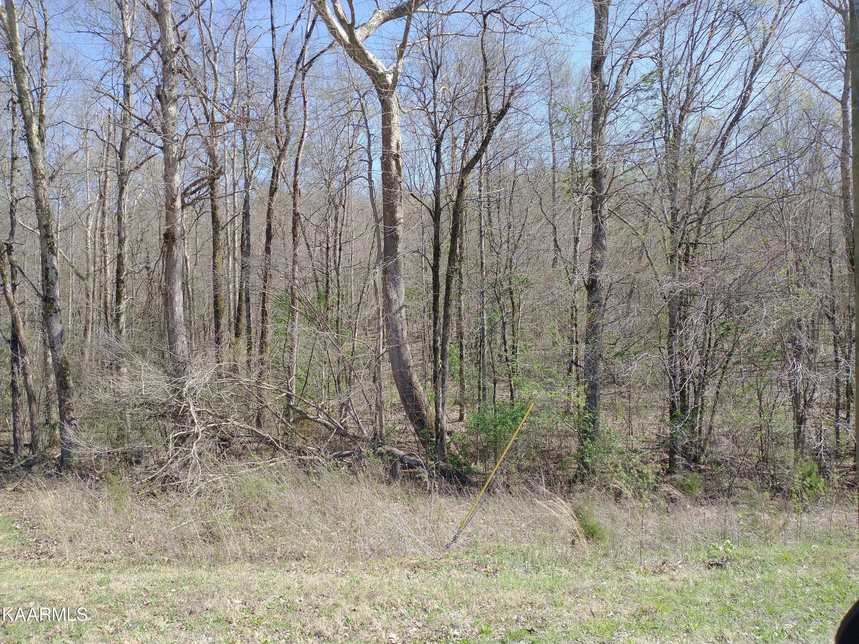 Property Photo:  Meadow Road West Rd  TN 37742 