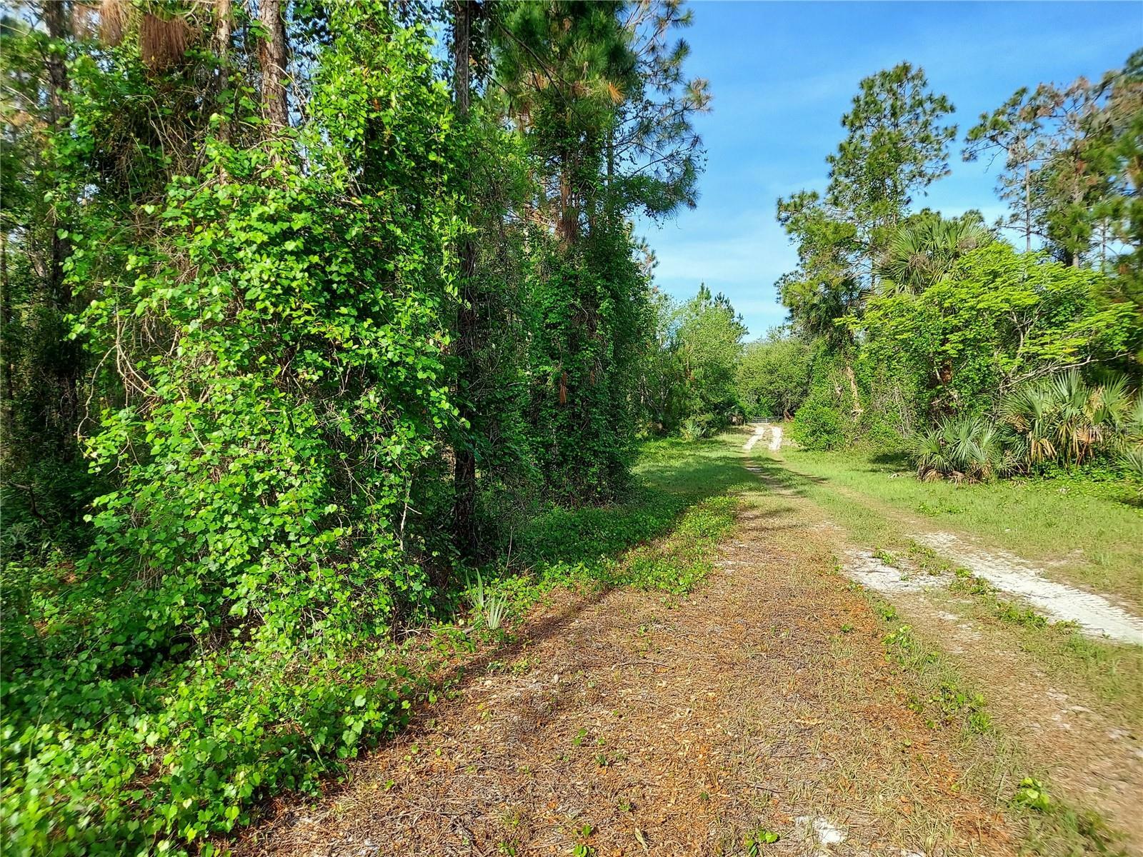 Property Photo: 0 Geneva Woods Cove FL 32732