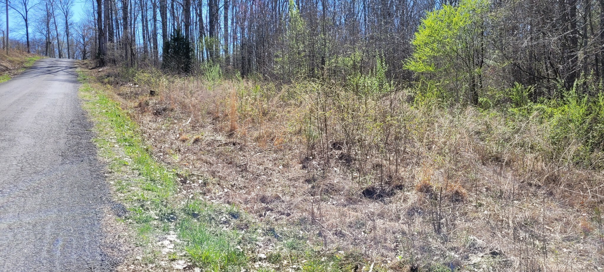 Property Photo:  0 Overlook Rd  TN 37058 