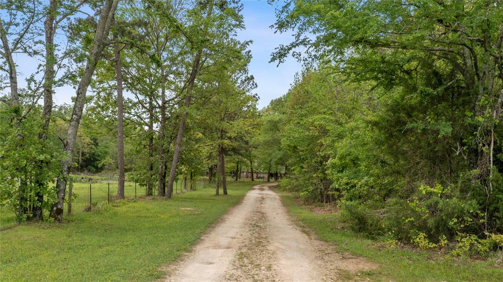 1840 Vz County Road 4609  Ben Wheeler TX 75754 photo