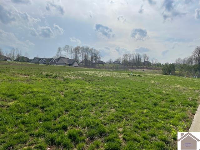 Property Photo: 125 Low Ridge Lane KY 42003