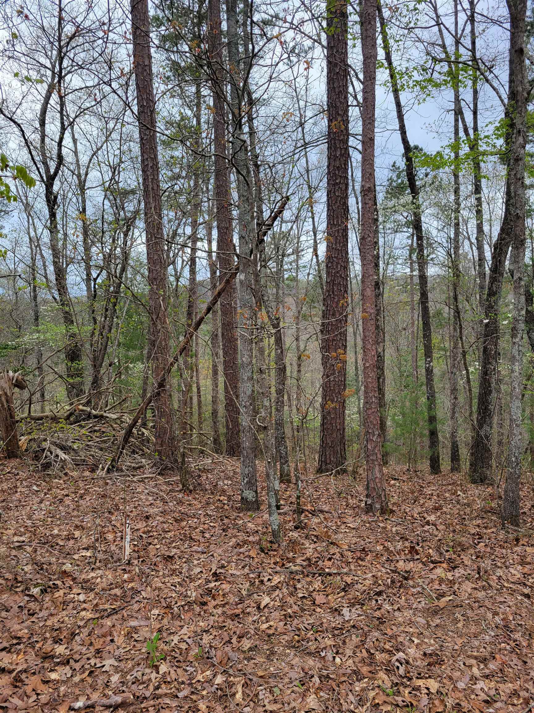 Property Photo:  Lot 1717 Rebekah Ridge Ridge  GA 30175 