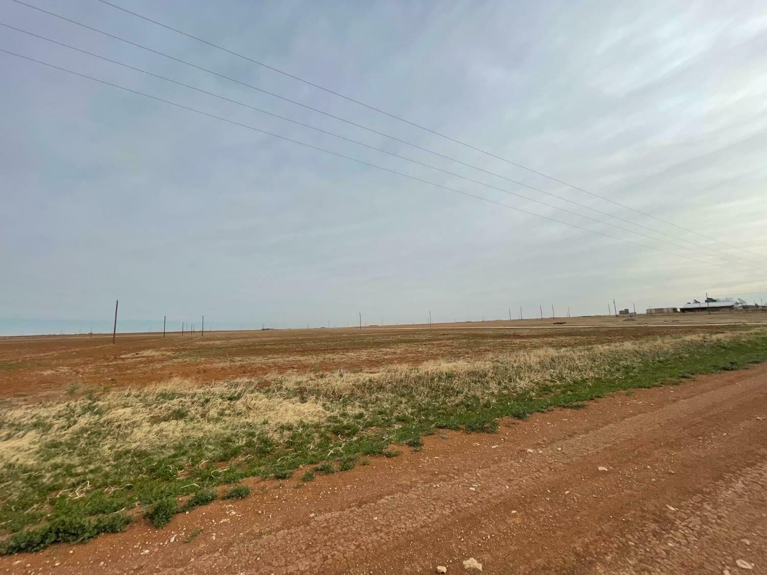 Property Photo:  3333 Redhead Road  TX 79383 