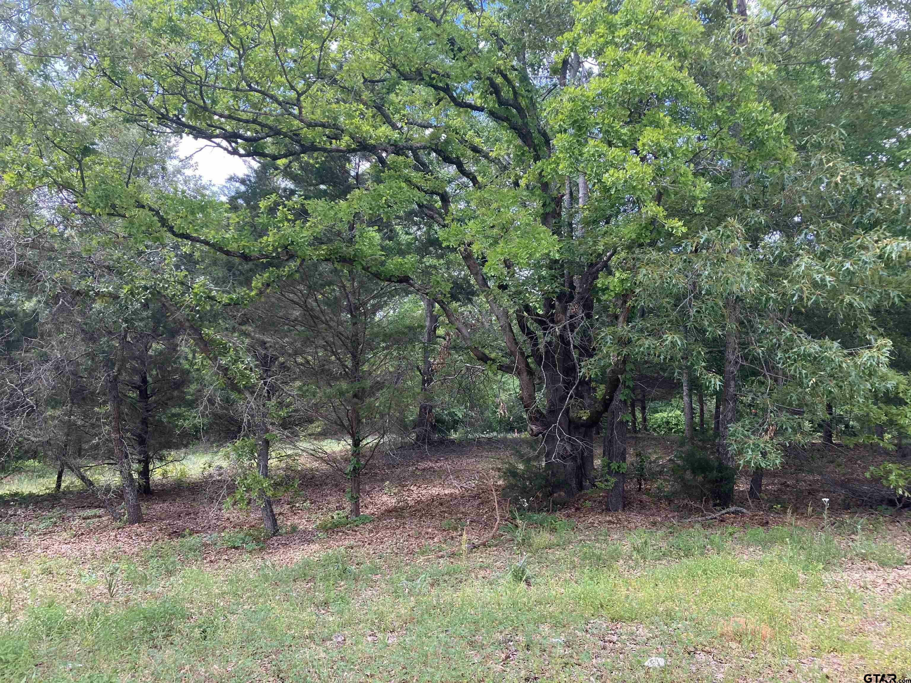 Property Photo:  2433 Wellington Trace  TX 75709 