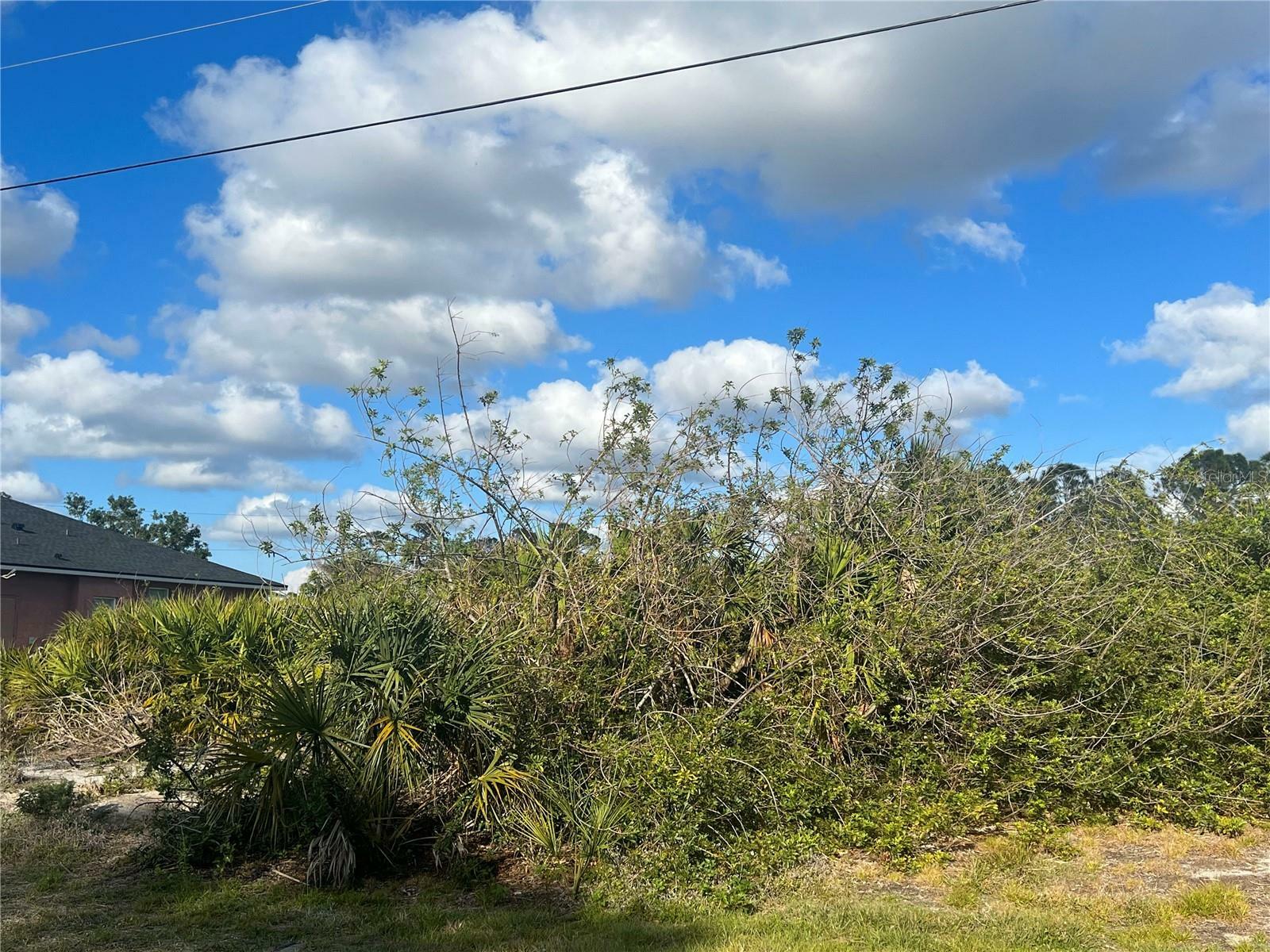 Property Photo:  Alseir Road  FL 34288 