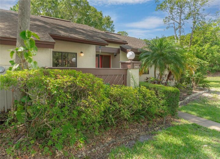 Property Photo:  2907 Boxwood Court  FL 34684 