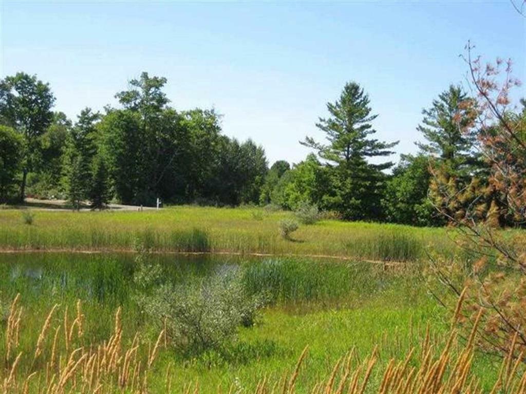 Property Photo:  Lot 73 Country Club 73  MI 49720 