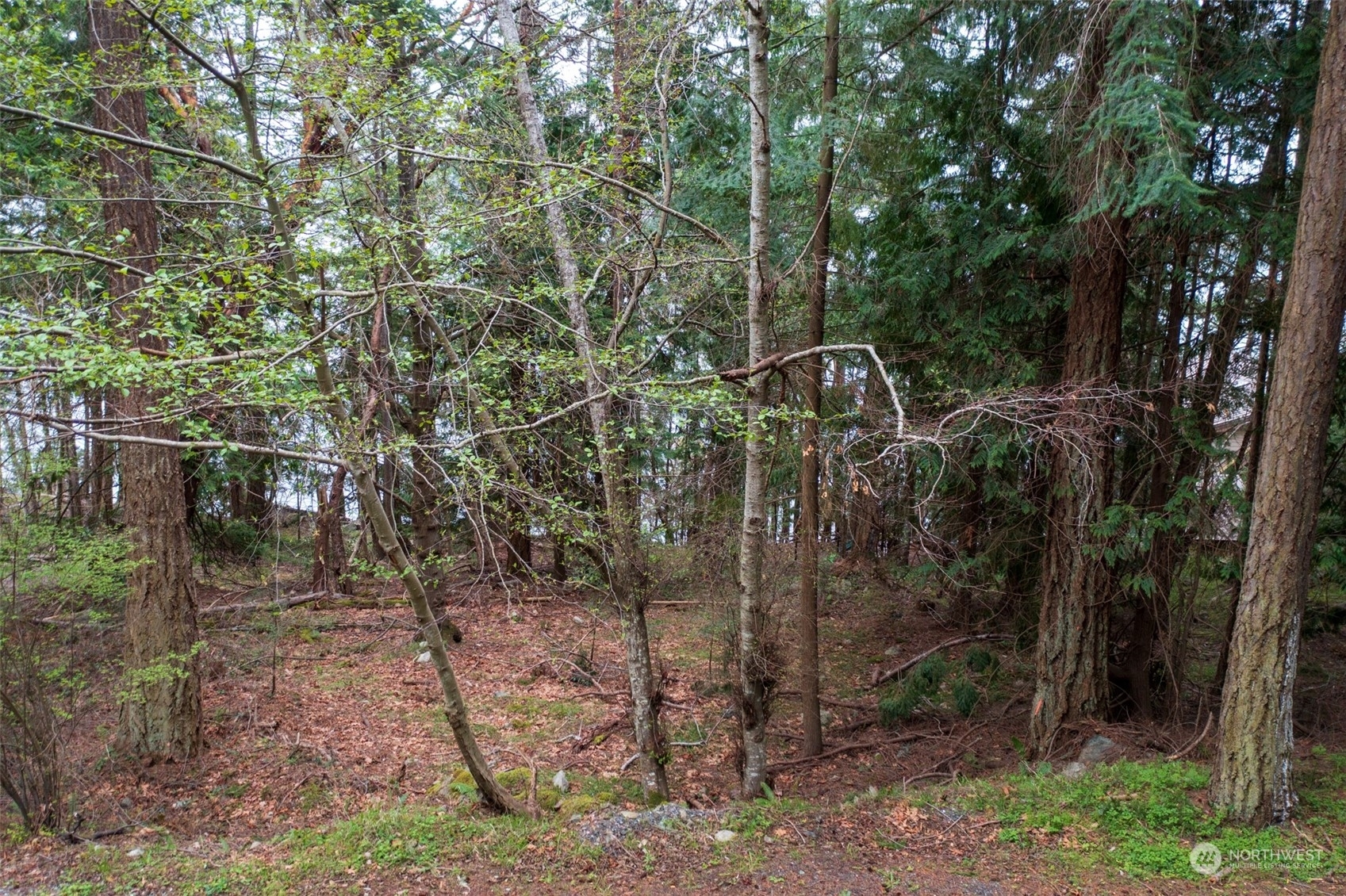 Property Photo:  0 Xx Spring Point Road  WA 98245 