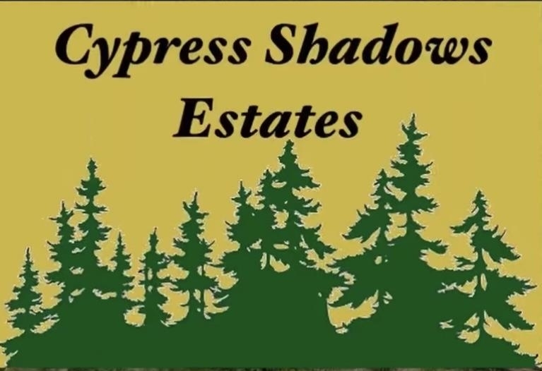 2610 Cypress Shadows Lane  Orange TX 77632 photo