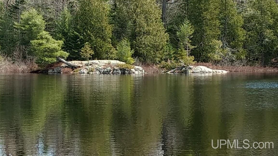 Property Photo:  Tbd Durchman Lake Road  MI 49946 