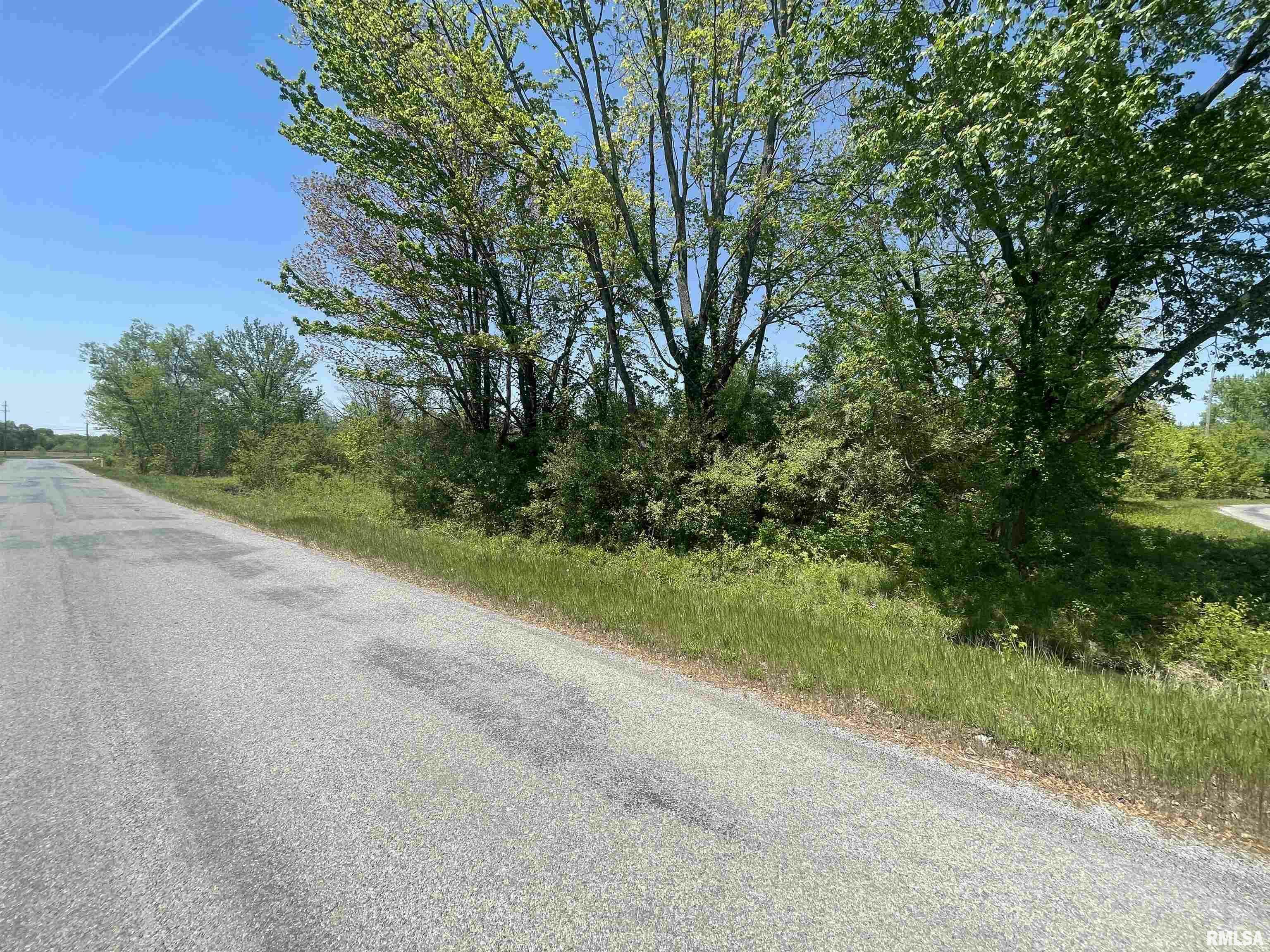 Property Photo: Tbd San Diego Street IL 62901
