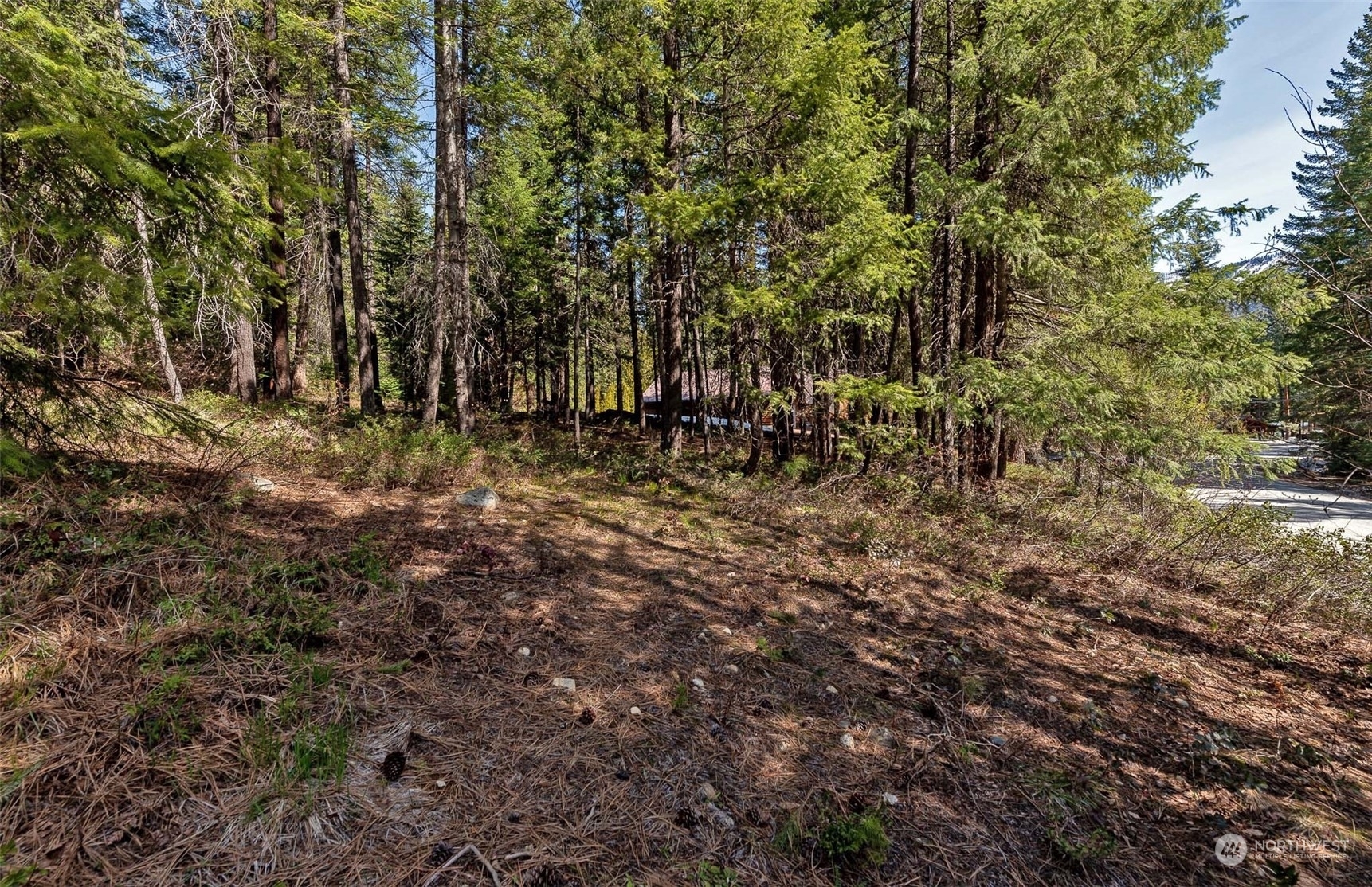 Property Photo:  0 Kinnikinnick Drive  WA 98826 