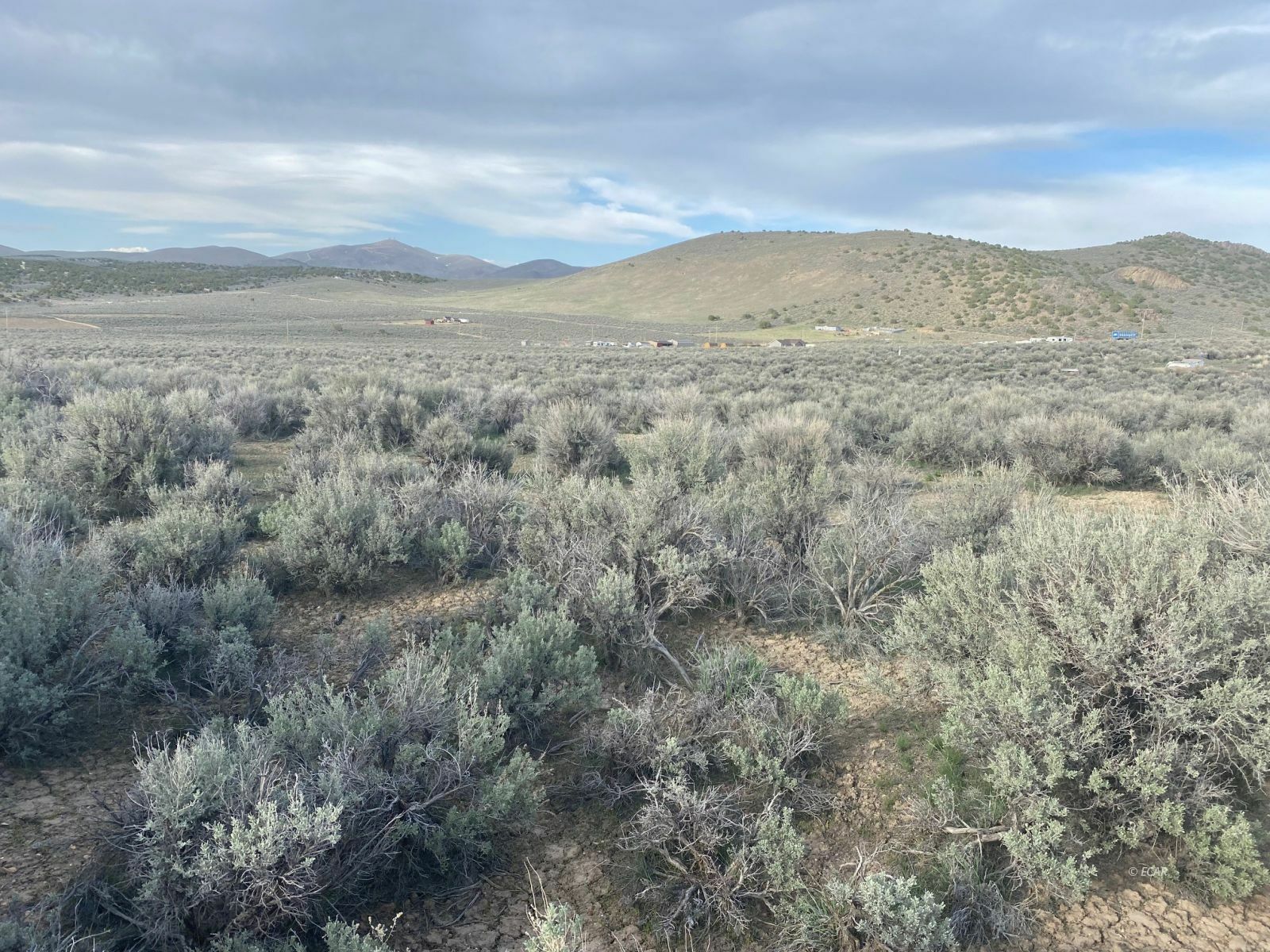 Property Photo:  Fairview Avenue  NV 89801 