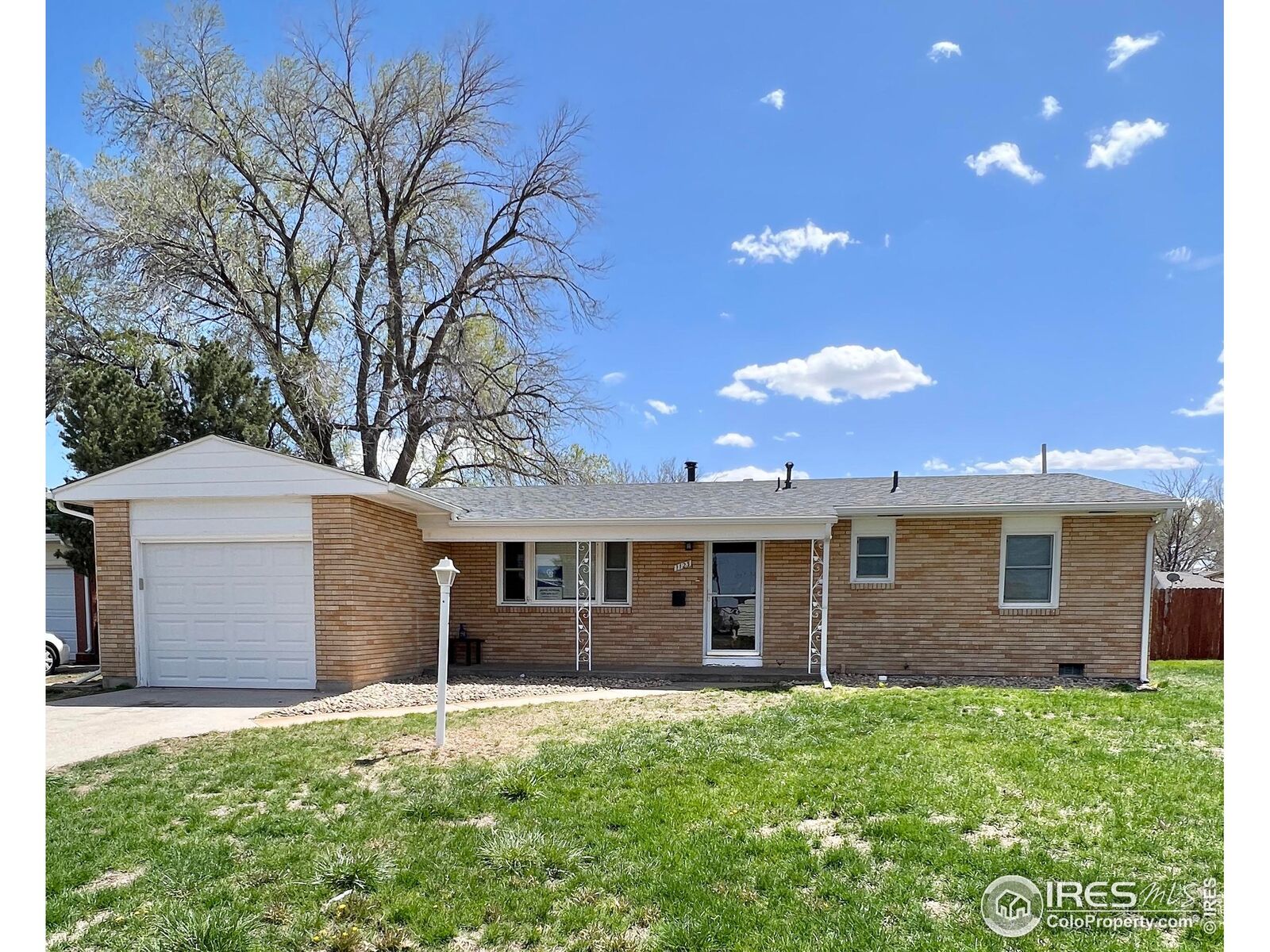 Property Photo: 1123 Beattie Dr CO 80751