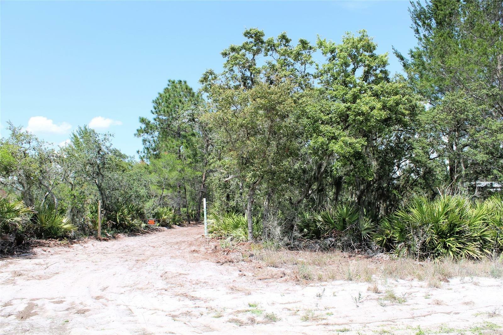 Property Photo: Camp Mack Road FL 33898