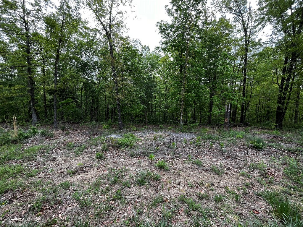 Lot 4 Islay Circle  Bella Vista AR 72715 photo