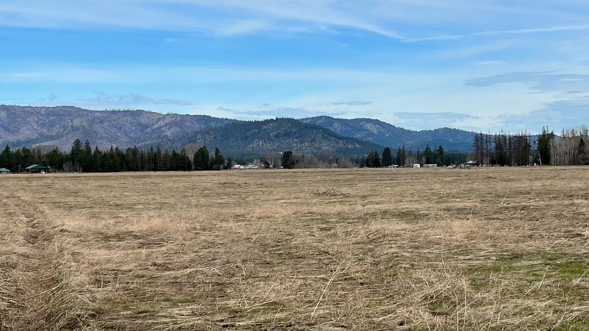 Property Photo: Xxxx W Hattery-Owens Rd Parcel B WA 99006