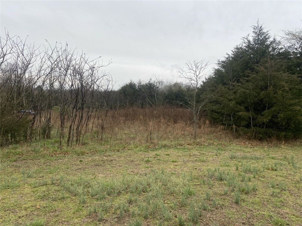 Property Photo:  Lot 32  MO 65658 