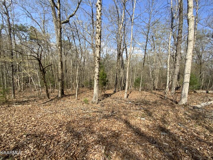Rendezvous Road Lot #22  Rockwood TN 37854 photo