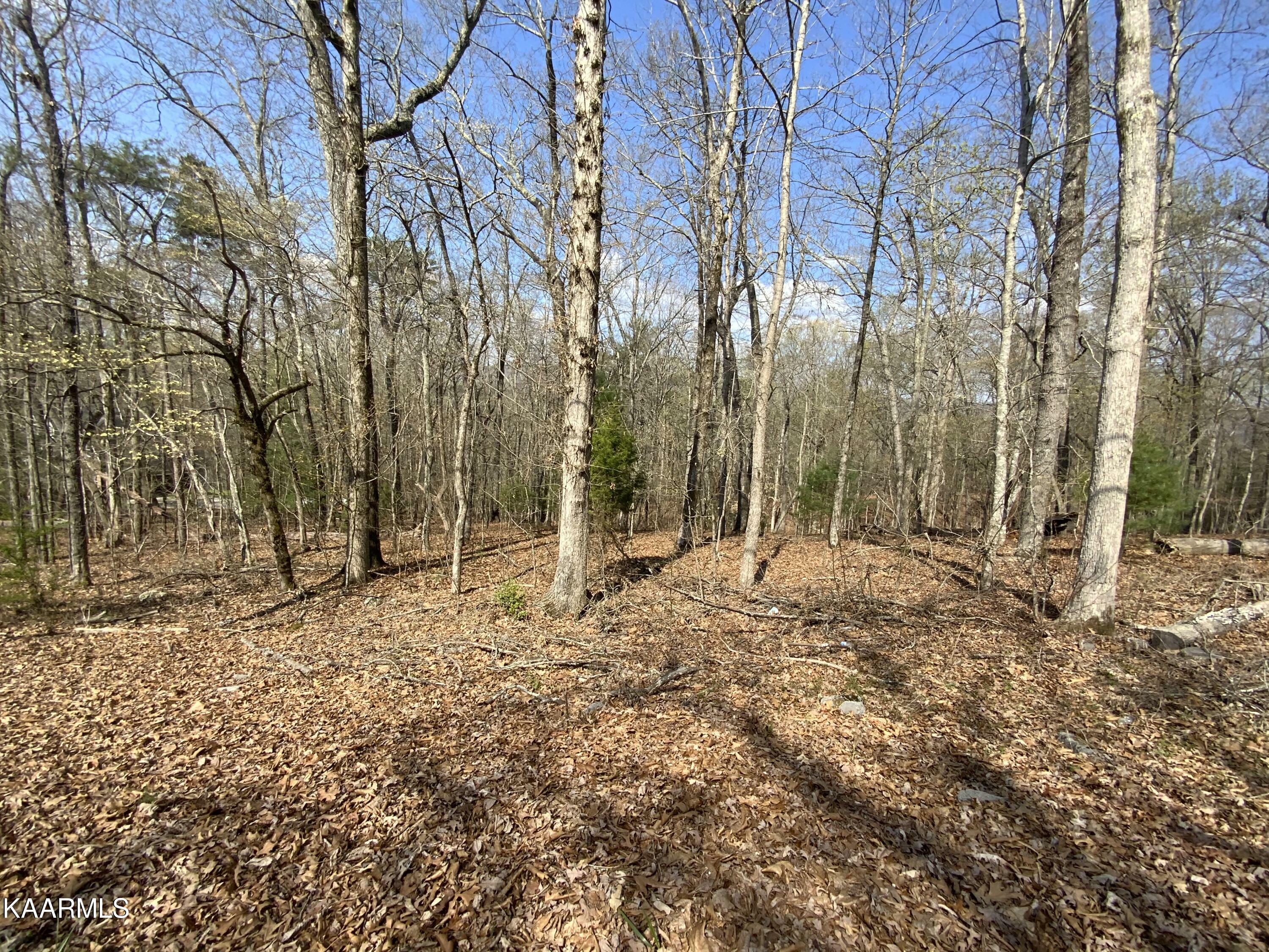 Property Photo:  Rendezvous Road Lot #22  TN 37854 