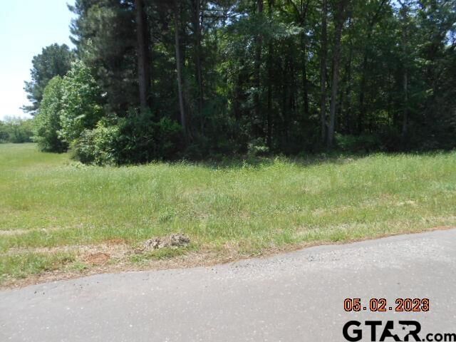 Property Photo:  Lot 1 & 2 9.4ac Cr 216 & Cr 217  TX 75652 