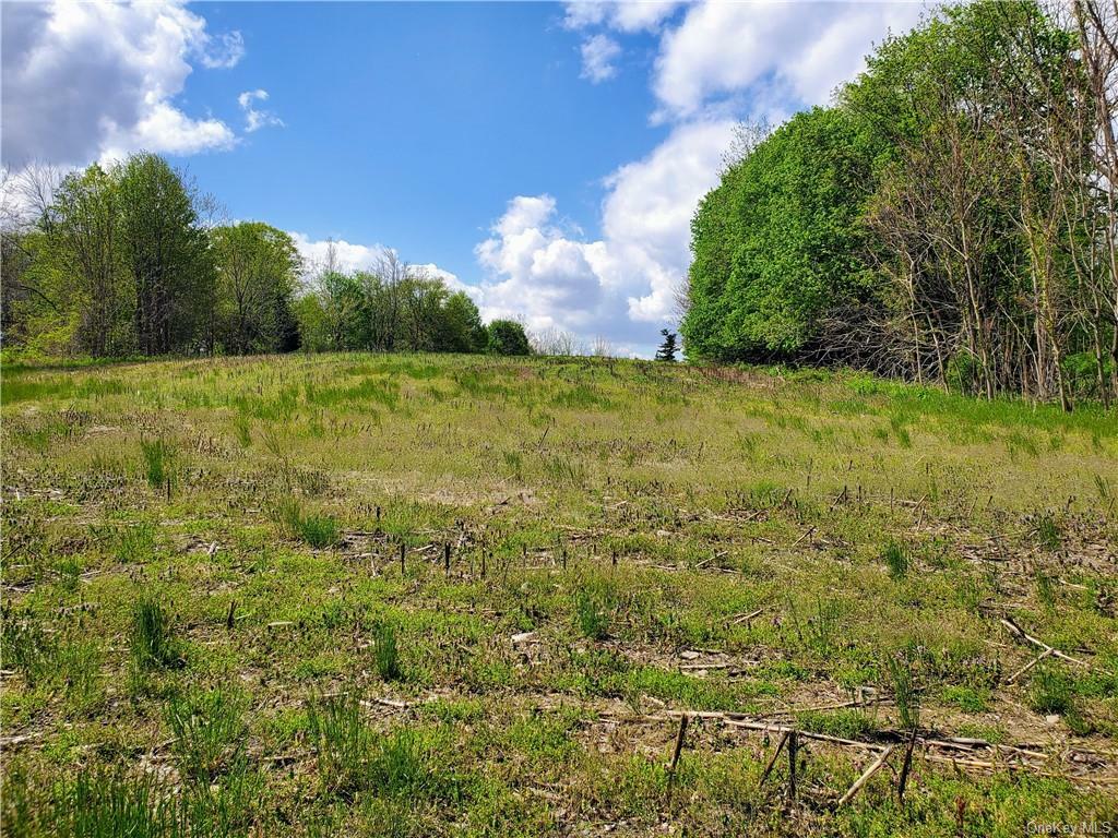 Property Photo: 0 State Route 94 S NY 10990