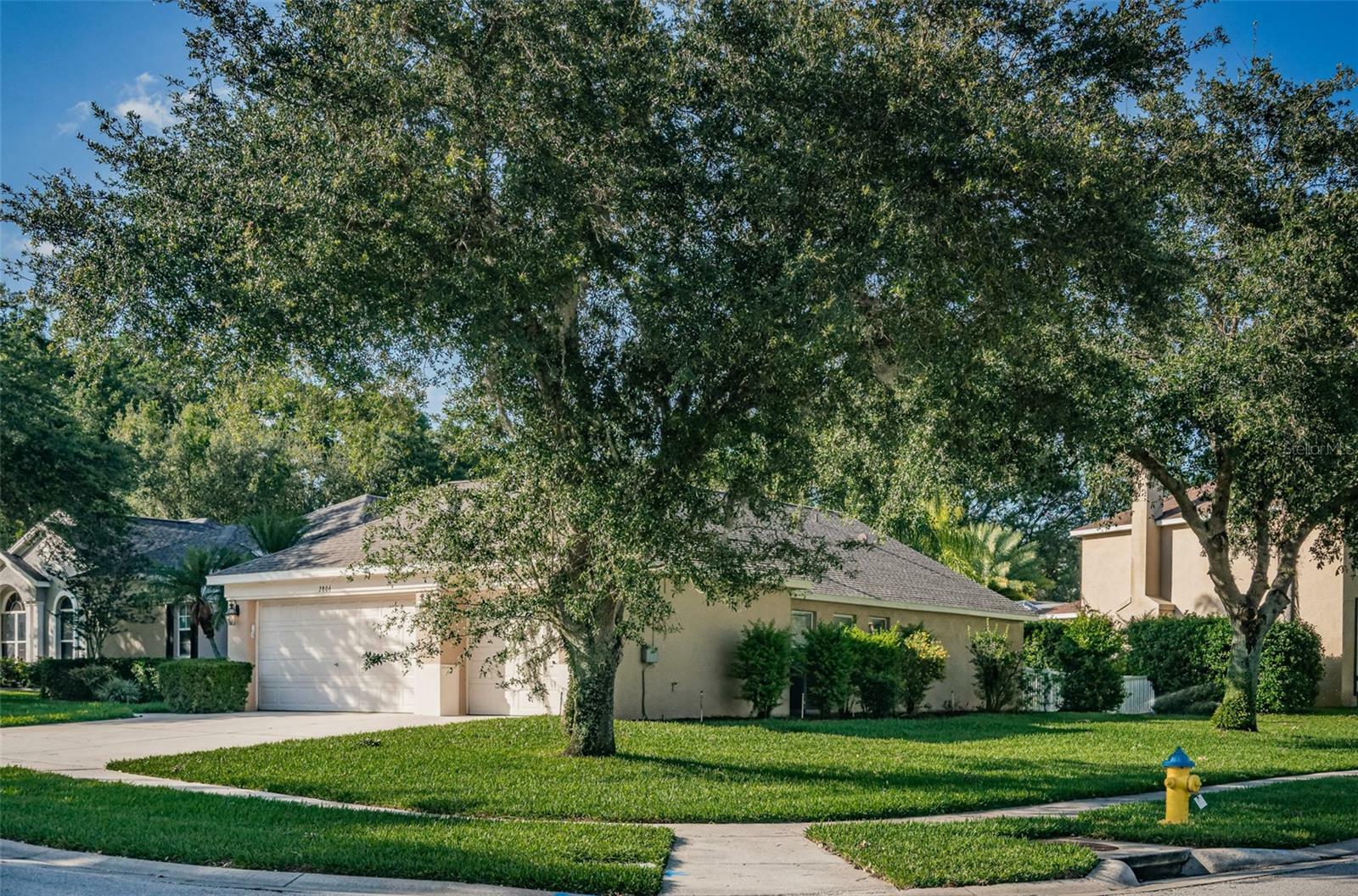 Property Photo: 2806 Clover Dew Court FL 33596