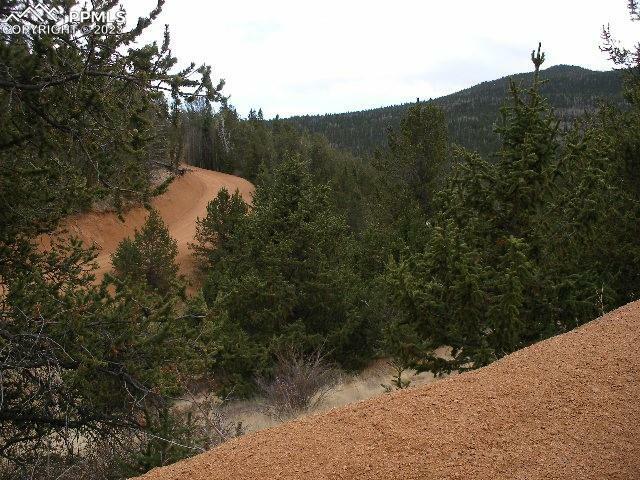 Property Photo: 325 Brown Bear Drive CO 80813