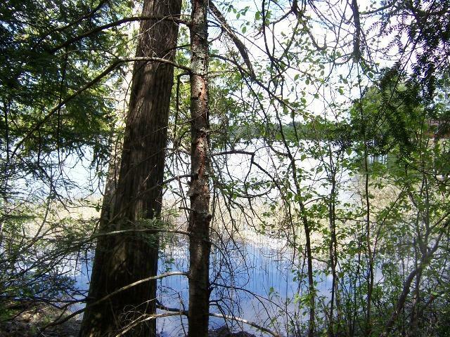 Property Photo:  Lot 10 Mercer Lake Cr  WI 54547 