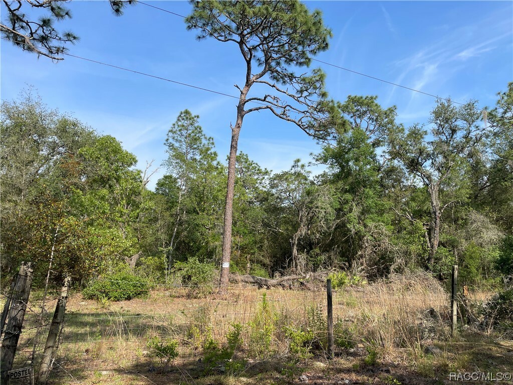 Property Photo:  8671 N Brandy Terrace  FL 34434 