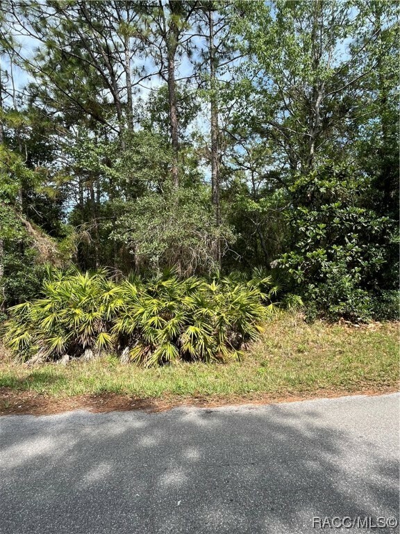 Property Photo:  58 Golfview Drive  FL 34446 
