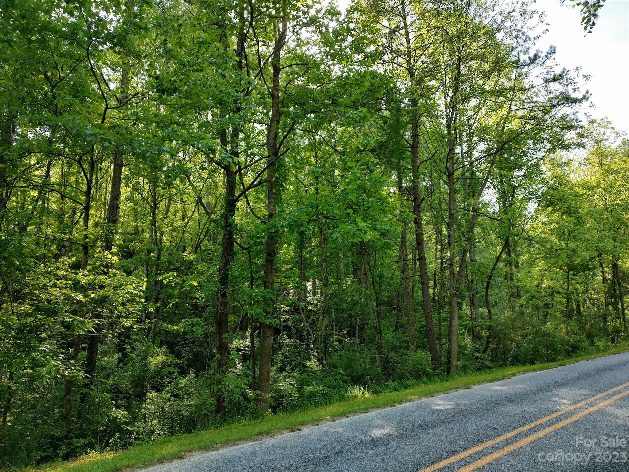 Property Photo:  0000 Lindsey Loop Road  NC 28732 