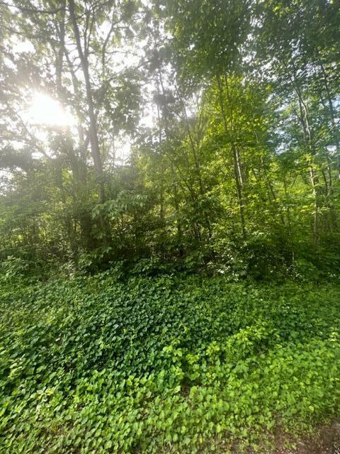 Property Photo: 000 Back Valley Road TN 37321