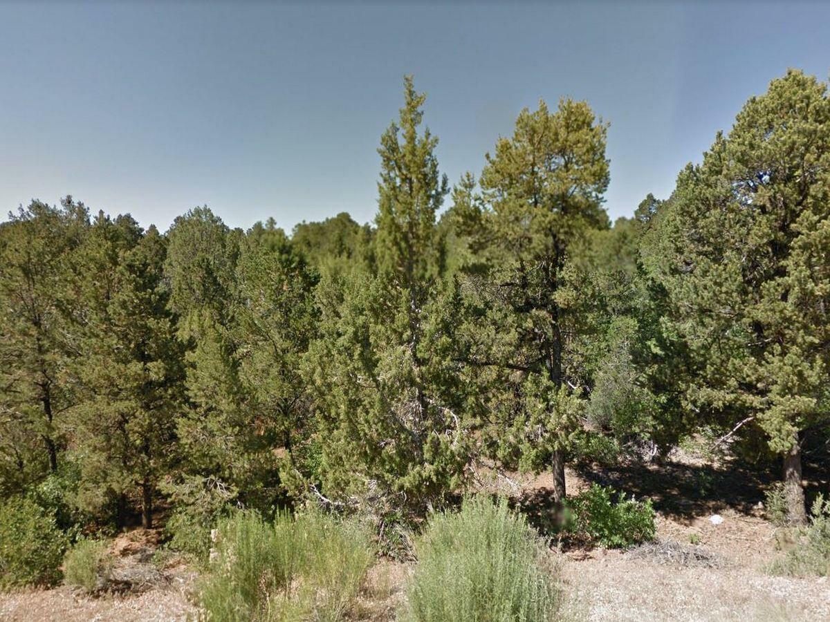 Property Photo:  Zion Hunting Est Blk 2 Lot 37  UT 84762 