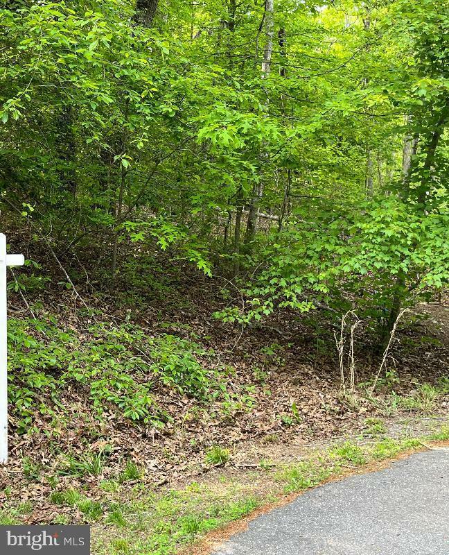 Property Photo:  Hidden Lane Lot 8 8E  VA 22556 