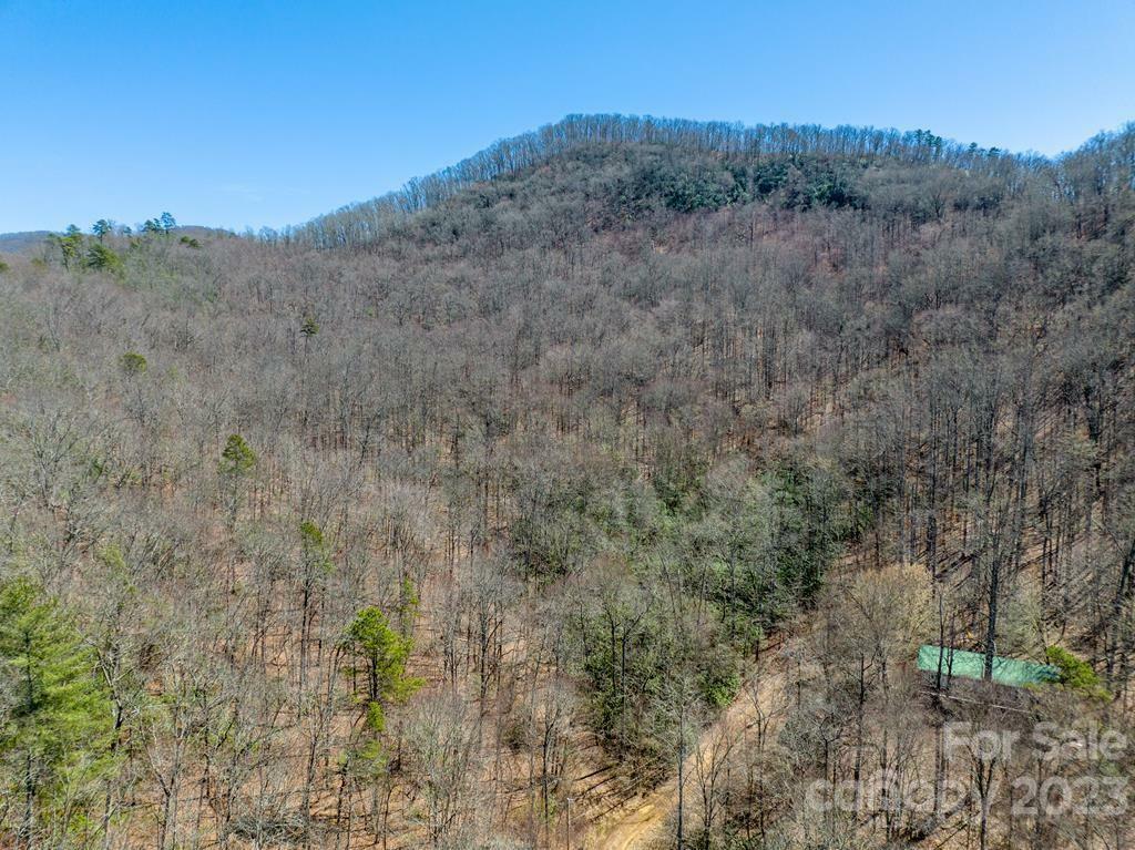 Property Photo: 000 Bee Branch Drive NC 28734