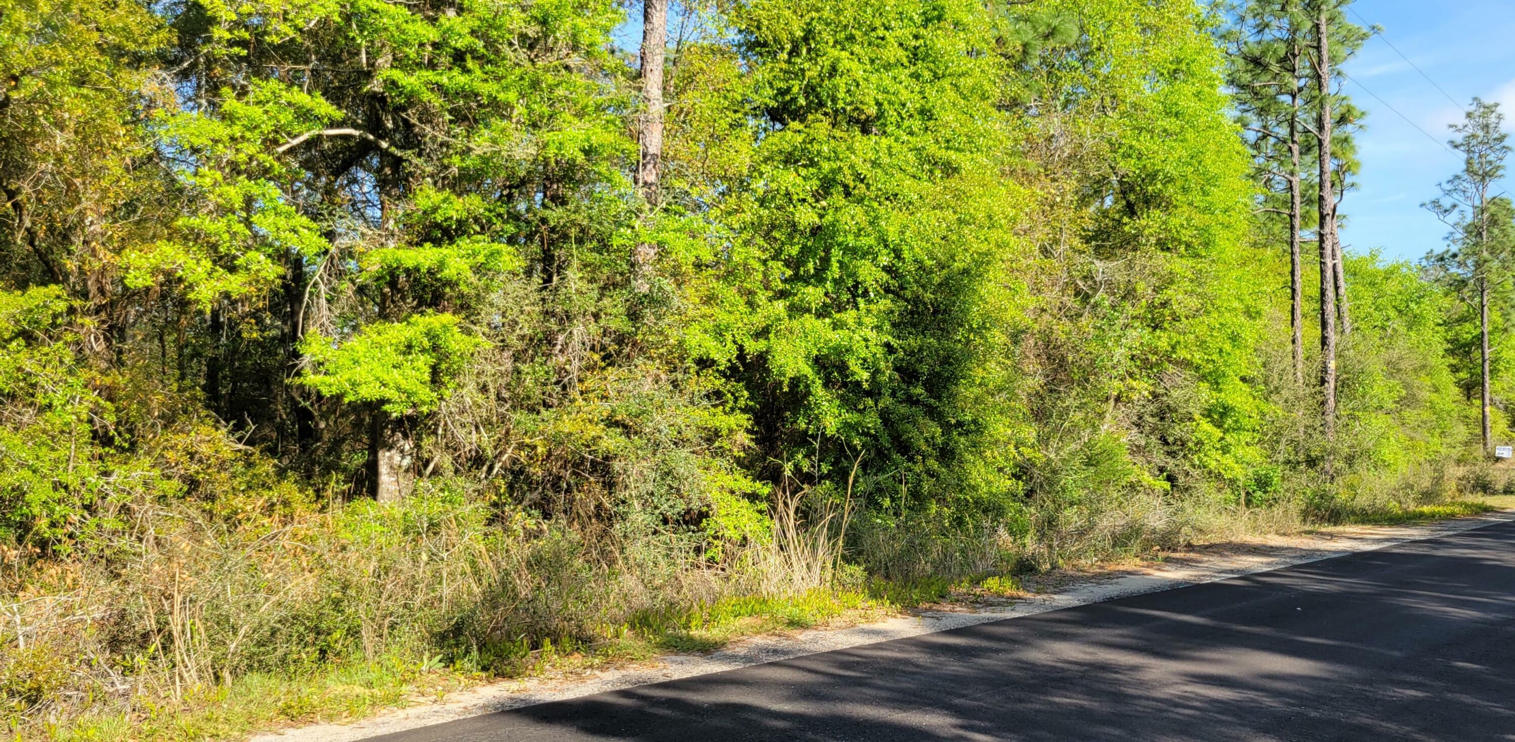Property Photo: 20 Acres Crowder Chapel Road FL 32434
