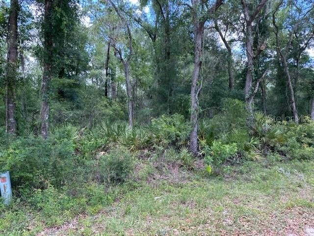 Property Photo: 6471 Otter Drive FL 33597