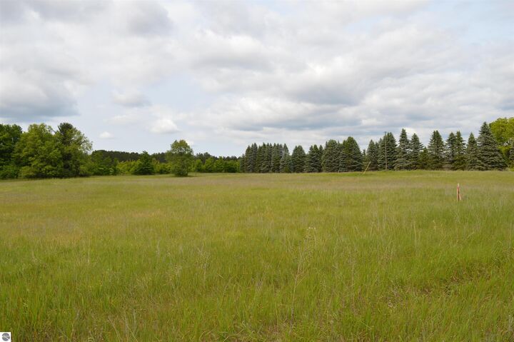 Property Photo: L Summit City Road MI 49649