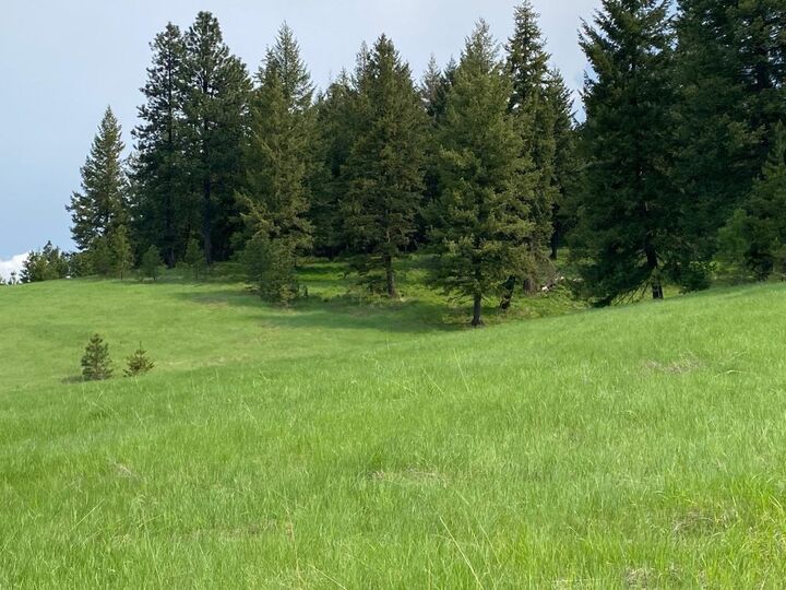 374xx N Departure Ln  Newport WA 99156 photo