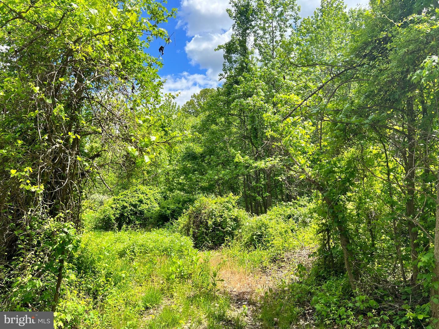 Property Photo:  Old Colchester Rd  VA 22079 