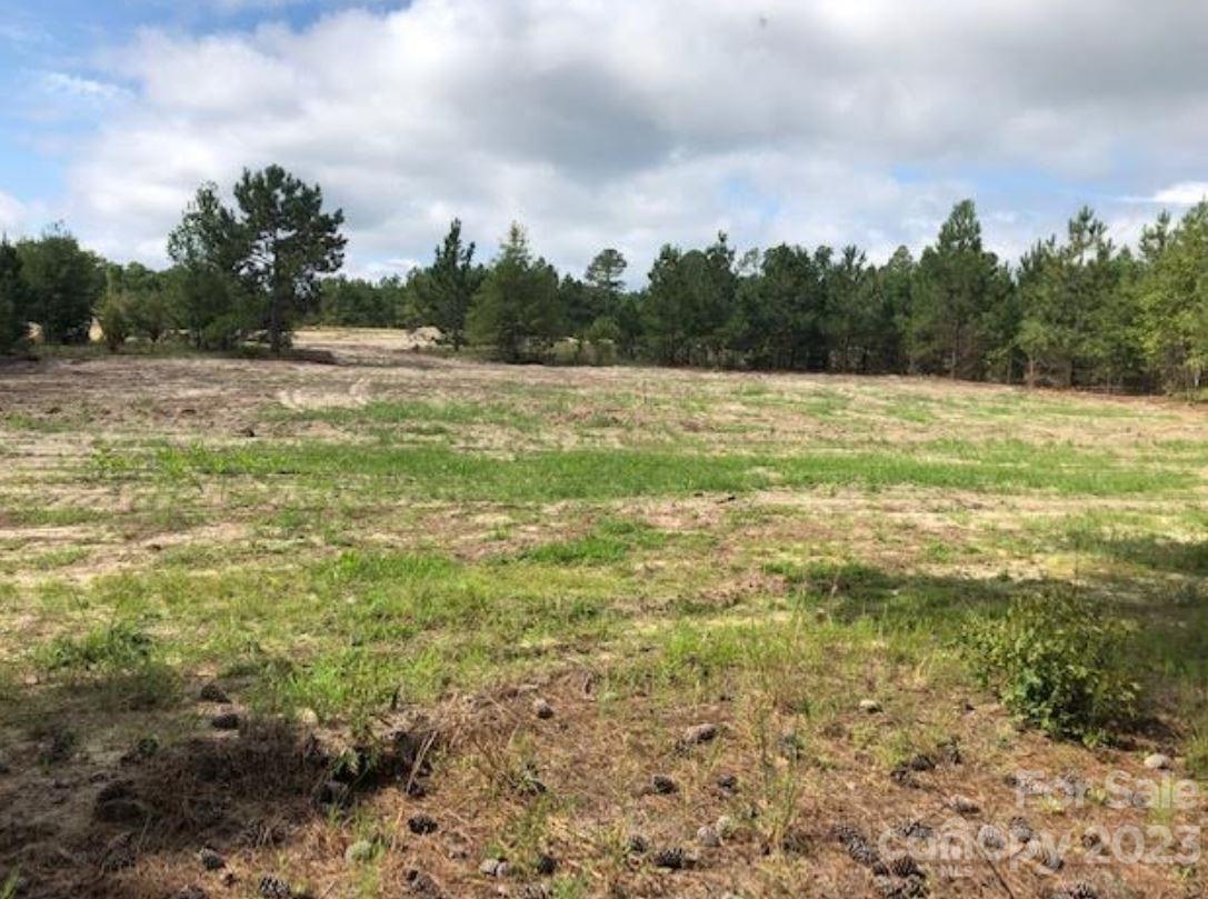 Property Photo:  1542 Macedonia Angelus Road  SC 29718 