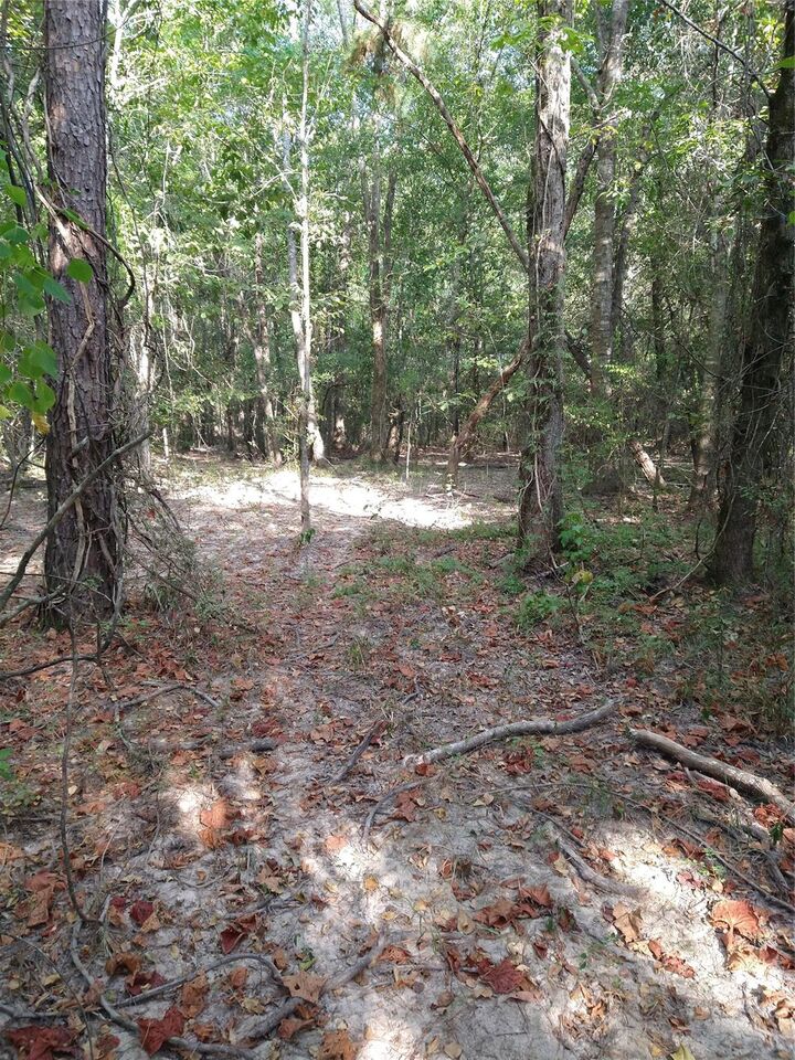 Property Photo:  986 County Road 325  TX 77327 