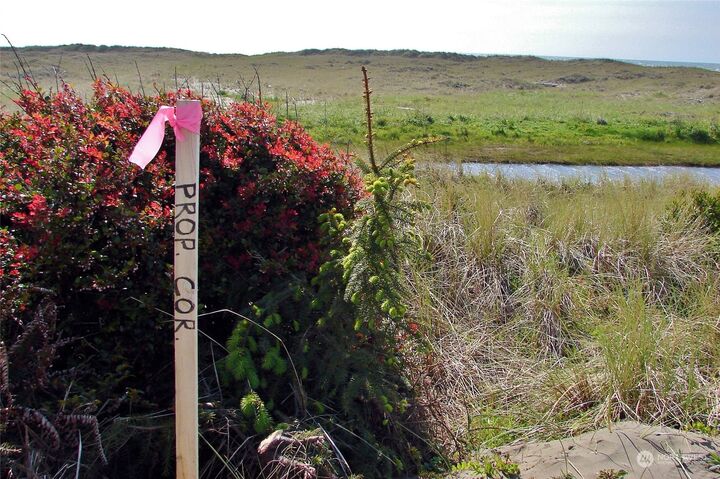 Property Photo: 0 Lot 1 State Route 109 WA 98535