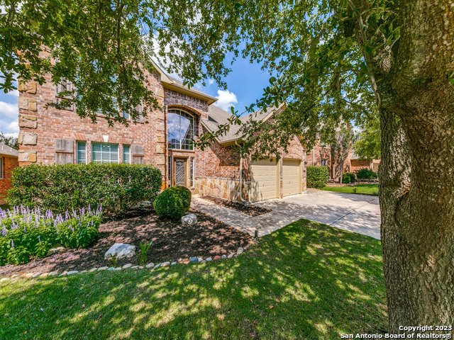 23415 Treemont Park  San Antonio TX 78261 photo