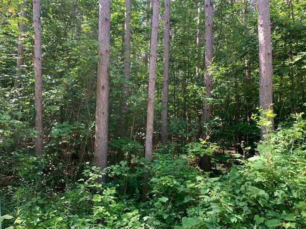 Property Photo: 427 Lotus Street WI 54455