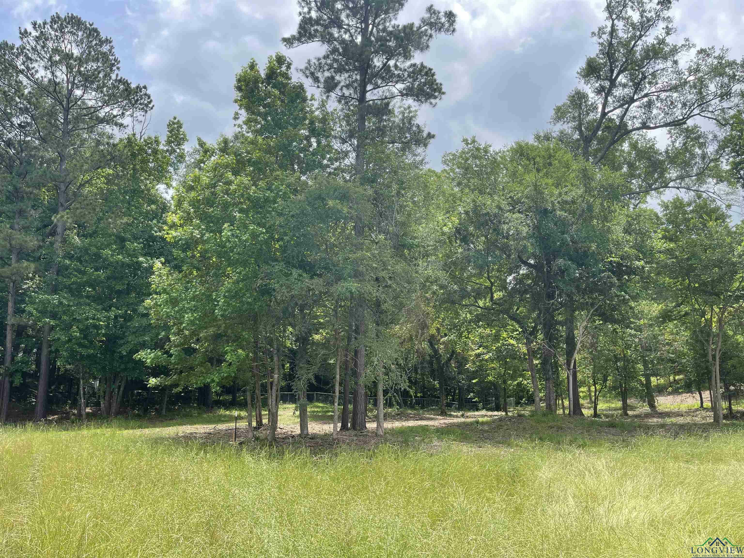 Property Photo:  9.276 Ac Mockingbird-Inverness  TX 75601 