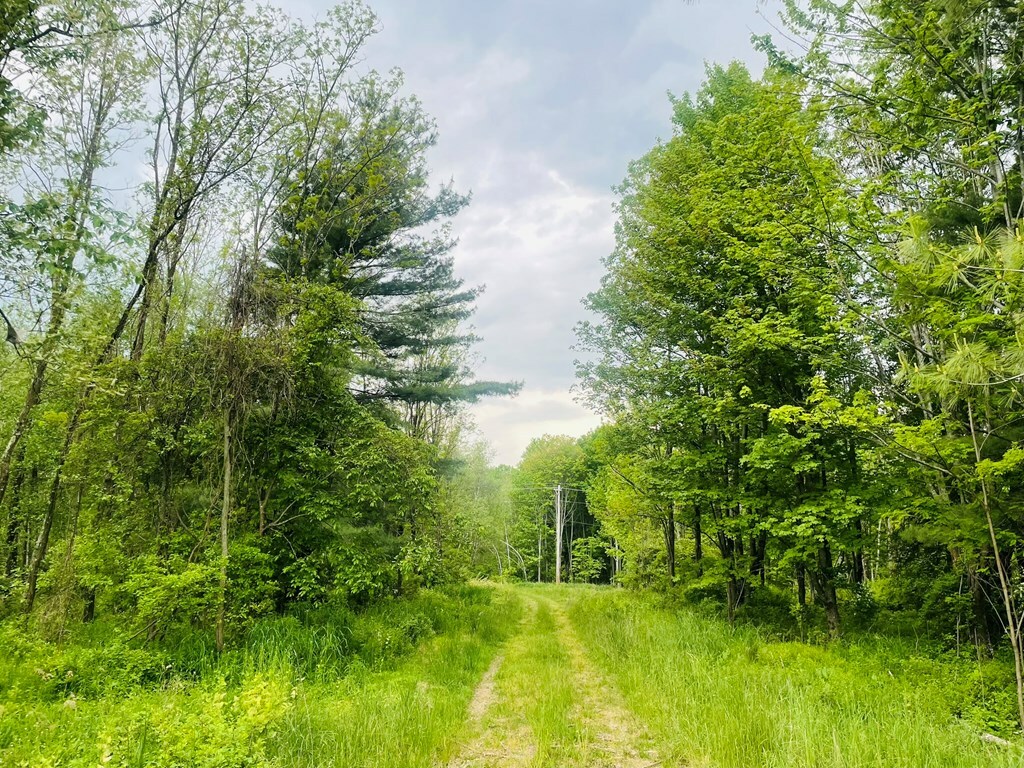 Property Photo:  Lot 3 Kerrick Hill Rd  PA 18848 