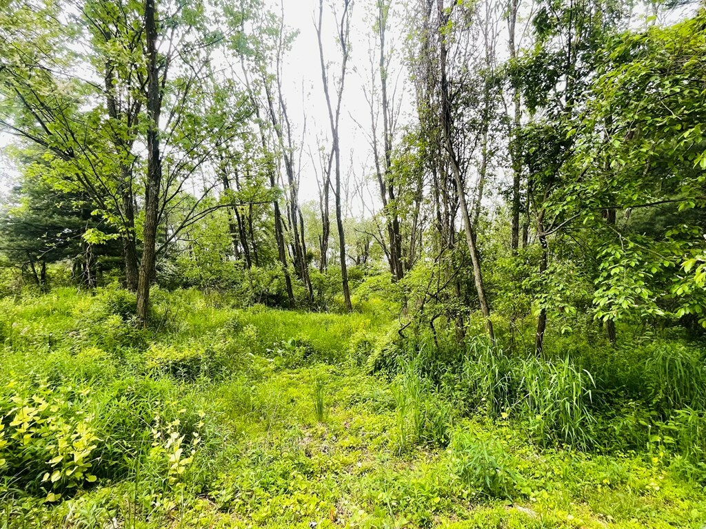 Property Photo:  Lot 2 Kerrick Hill Rd  PA 18848 