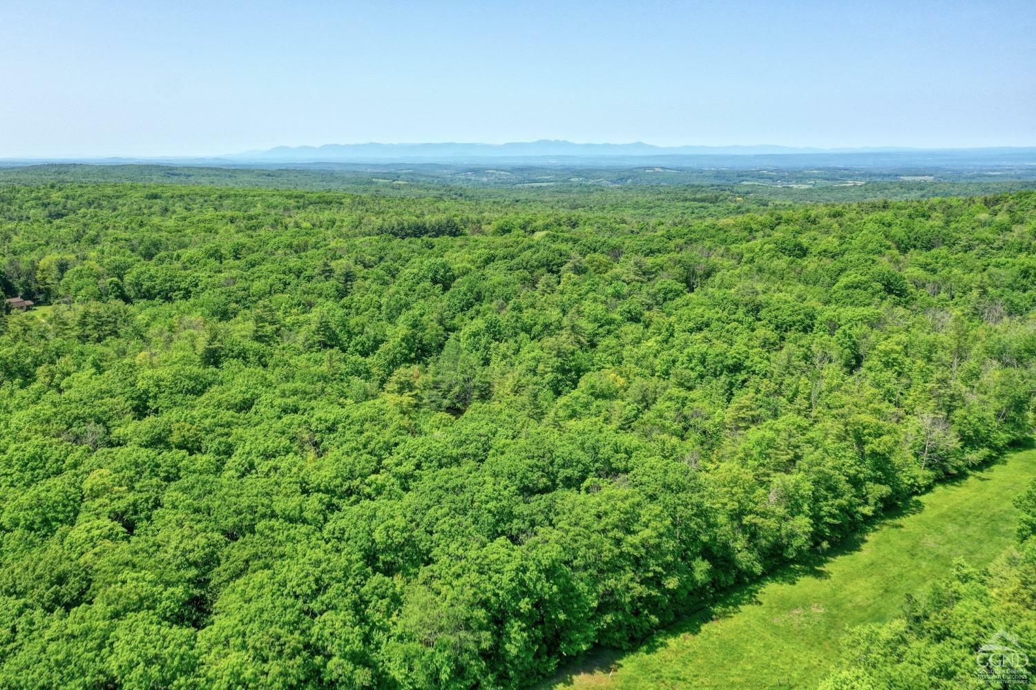 Property Photo:  0 Wadsworth Hill Rd  NY 12212 